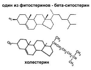 http://www.cbio.ru/images/books/605/library/sitoster.gif