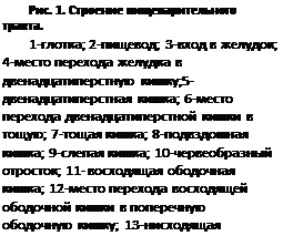 ϳ: . 1.   .
1-; 2-; 3-  ; 4-     ;5- ; 6-     ; 7- ; 8- ; 9- ; 10- ; 11-   ; 12-        ; 13-  ; 14- .
