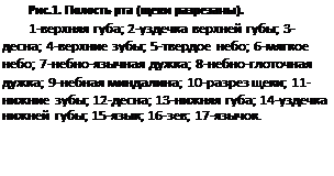 ϳ: .2.   ( ).
1- ; 2-  ; 3-; 4- ; 5- ; 6- ; 7-- ; 8-- ; 9- ; 10- ; 11- ; 12-; 13- ; 14-  ; 15-; 16-; 17-. 
