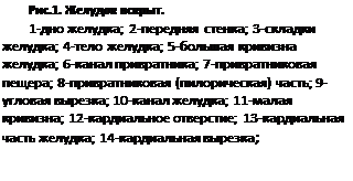 ϳ: .3.  .
1- ; 2- ; 3- ; 4- ; 5-  ; 6- ; 7- ; 8- () ; 9- ; 10- ; 11- ; 12- ; 13-  ; 14- ; 
