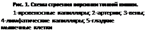 ϳ: . 5.     .
1- ; 2-; 3-; 4- ; 5-   
